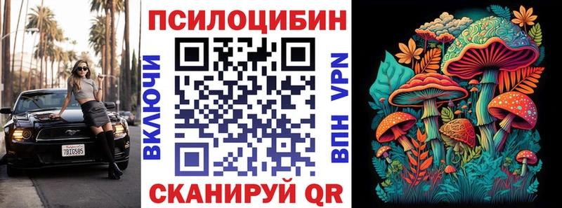 Купить где Жигулёвск Галлюциногенные грибы MAGIC MUSHROOMS
